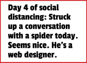 conversation with a spider